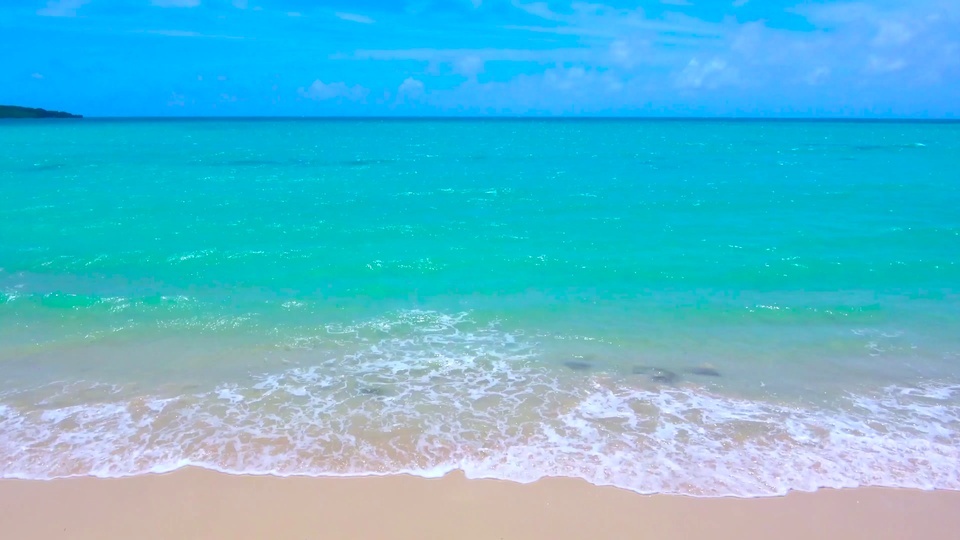 Vagues de plage tranquilles