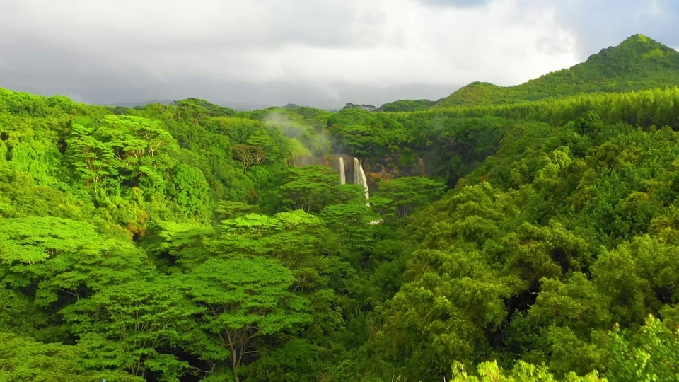 2k eye-catching green forest waterfall