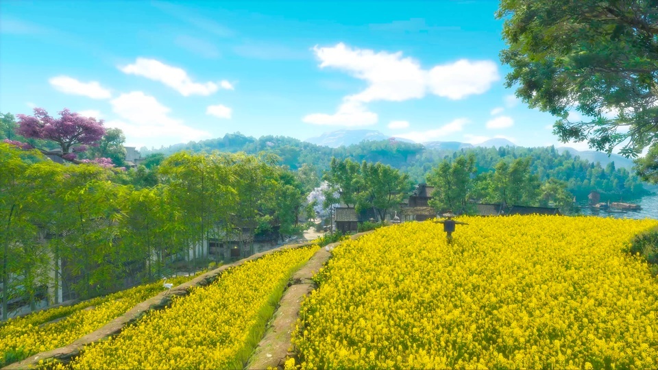 Cauliflower flying on the mountain