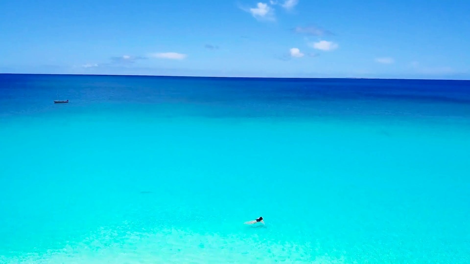 Blue pure sea swimming