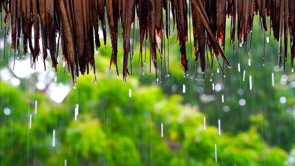 滴滴答答的雨