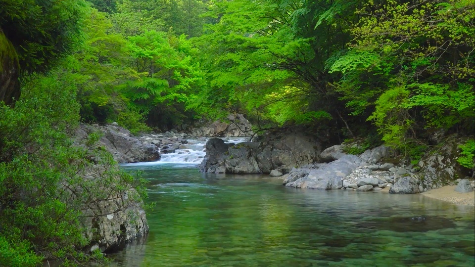 绿林溪流