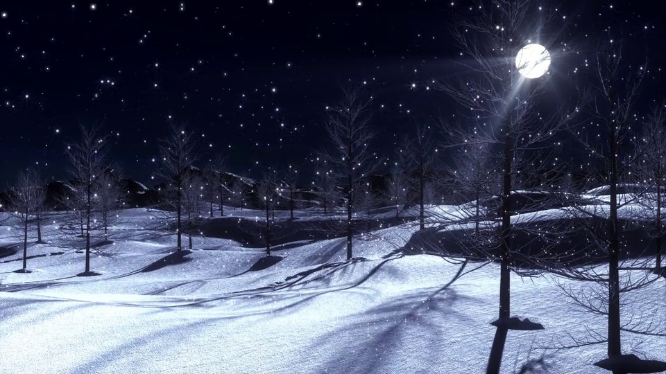 Snow and trees under the moonlight