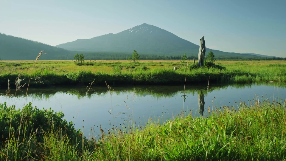 Peaceful grassland lake