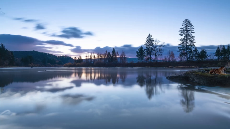 Winter lakeside