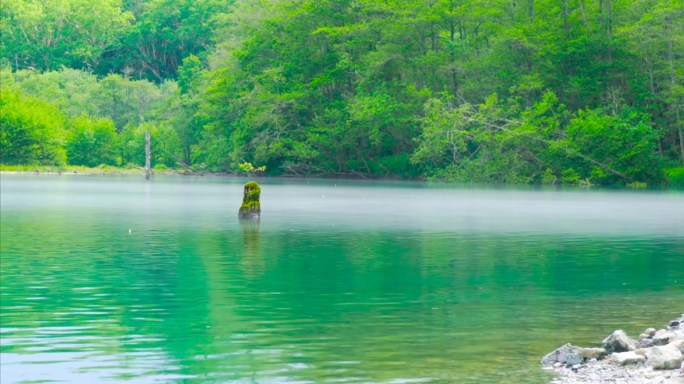 Montañas verdes, bosques y aguas claras