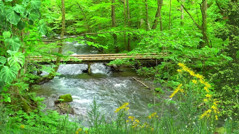 Água corrente da ponte do córrego da montanha