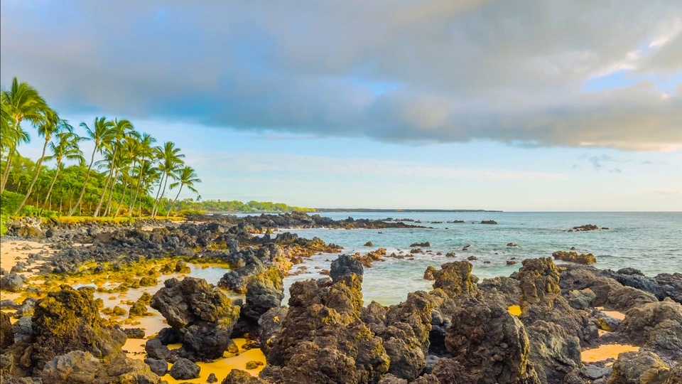 Arrecife de playa