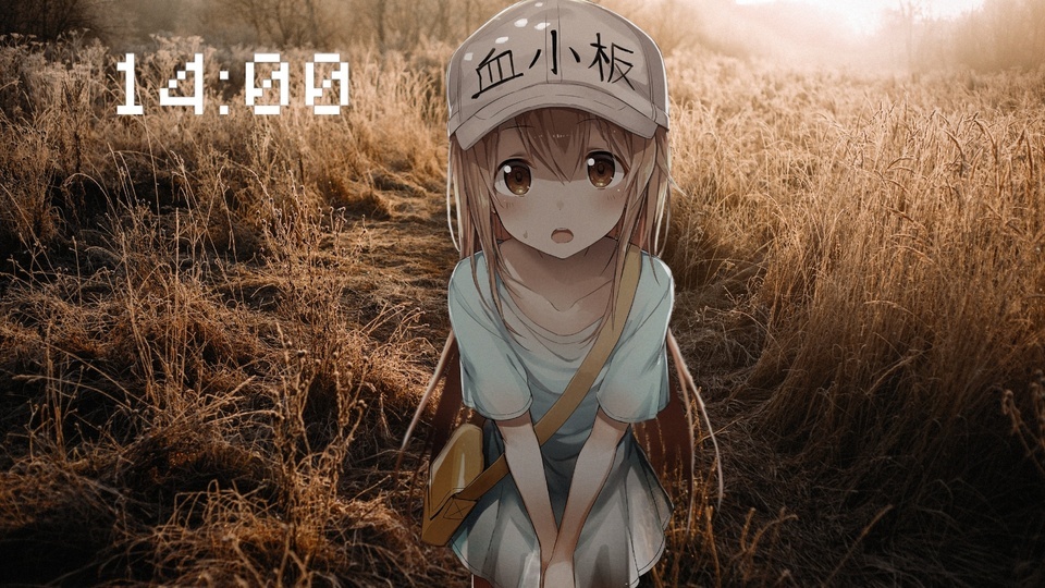 platelet