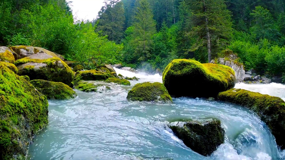 Green forest mountain river sound