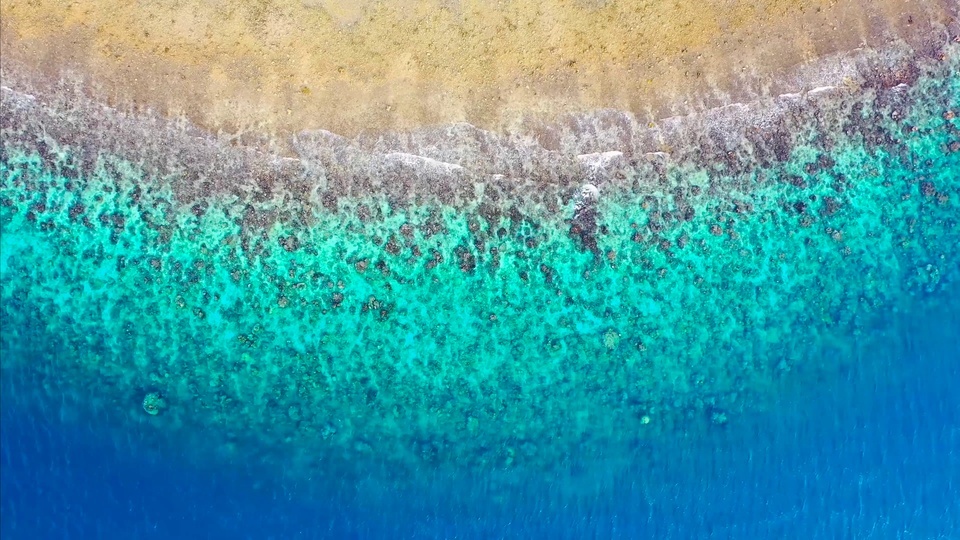 Com vista para a praia de águas claras