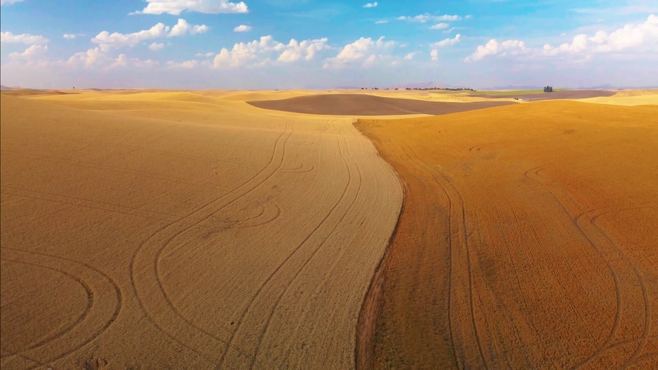 Autumn grassland aerial photography