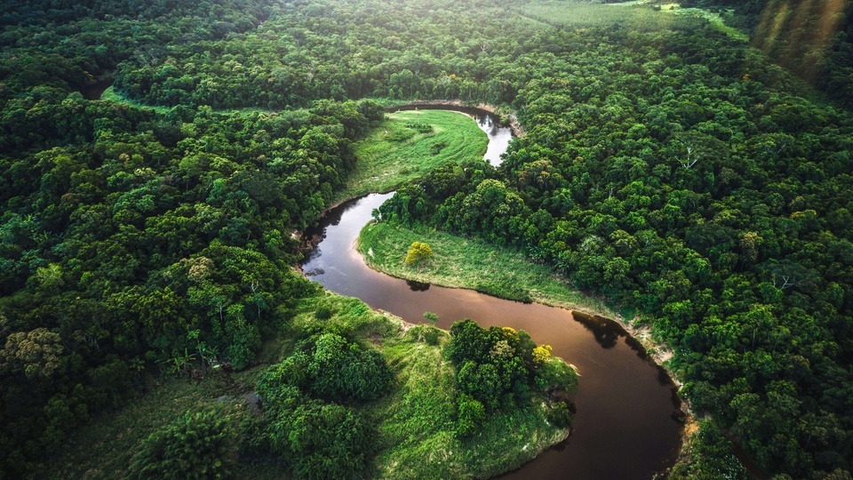 Jungle river landscape