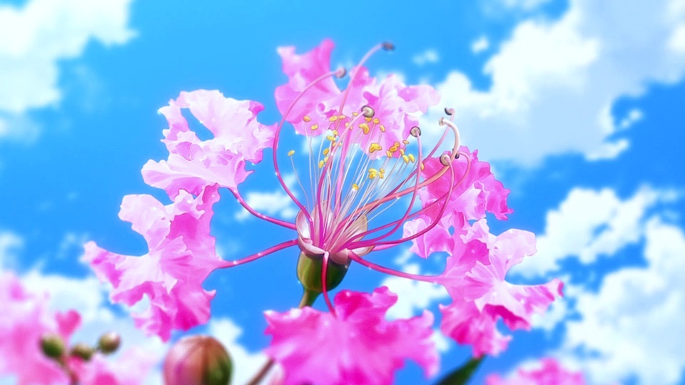 Pink Healing Flowers