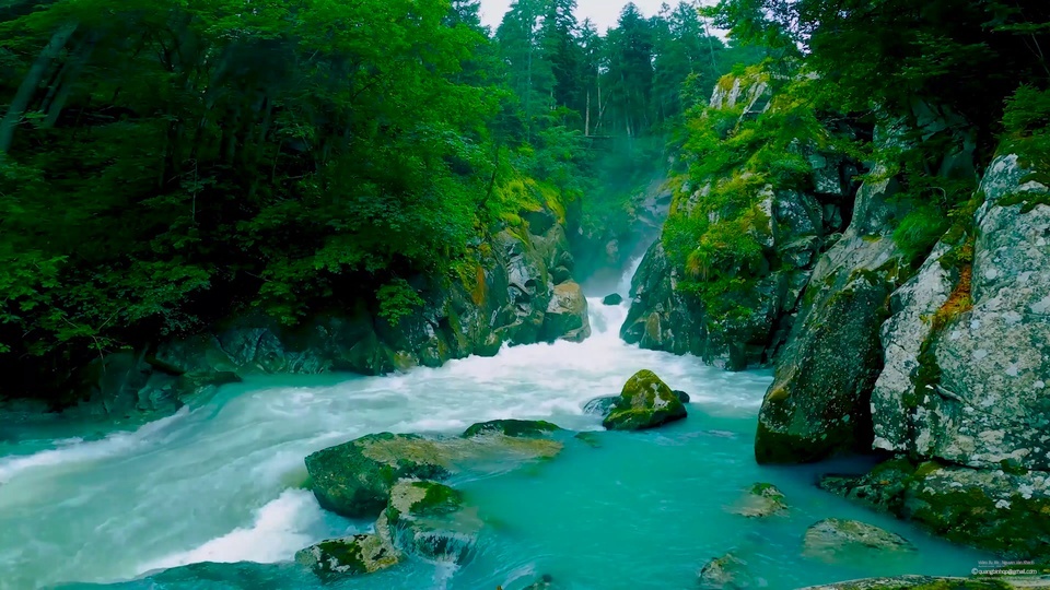 Rivière de ruisseau de montagne