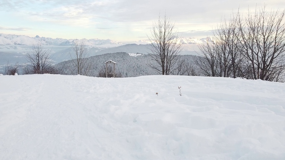 雪地视角