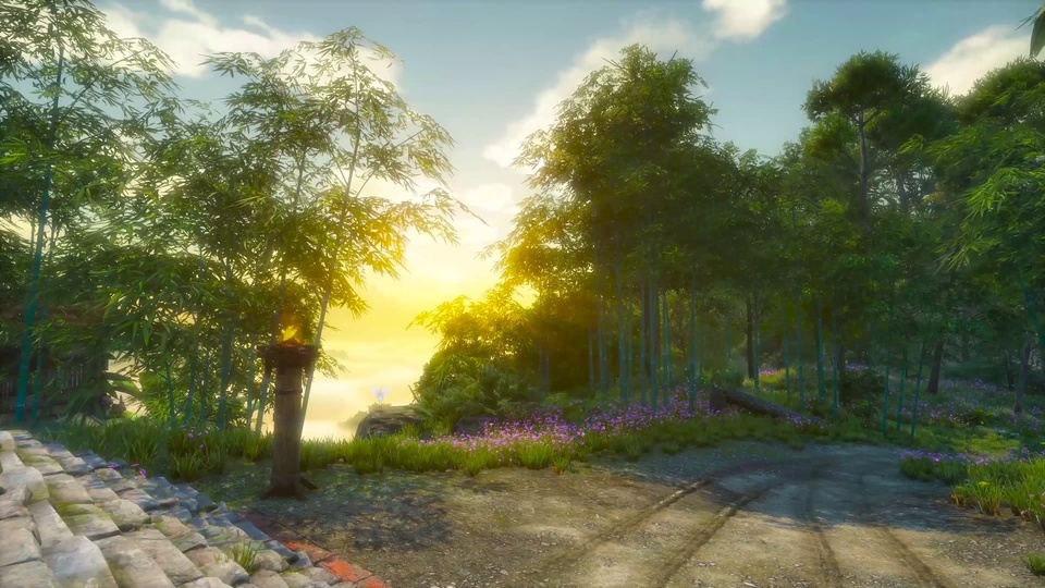 Yoyo Bamboo Forest in the West at Dusk