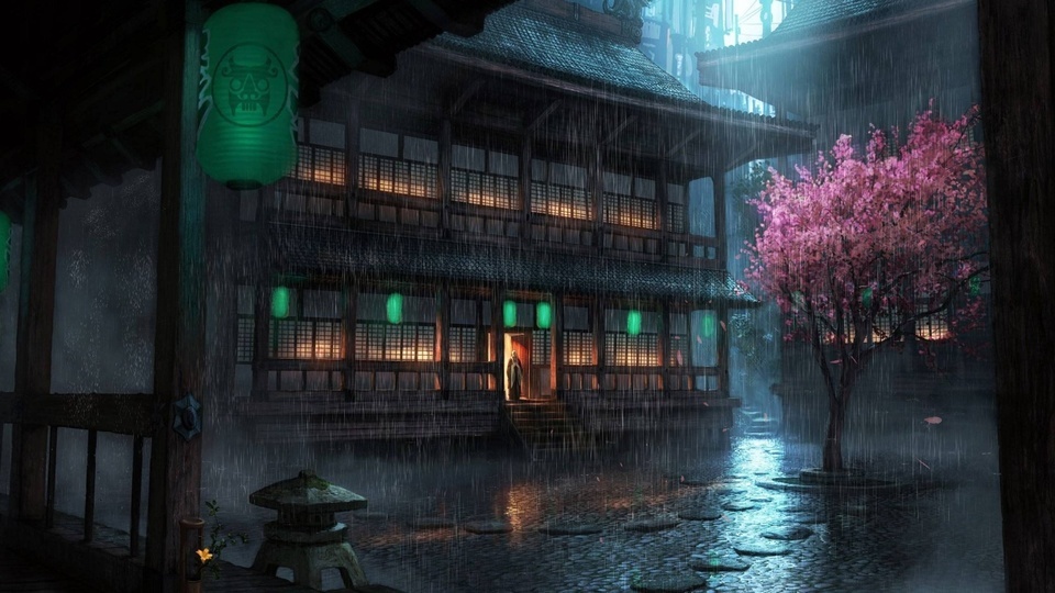 雨天樱花庭院