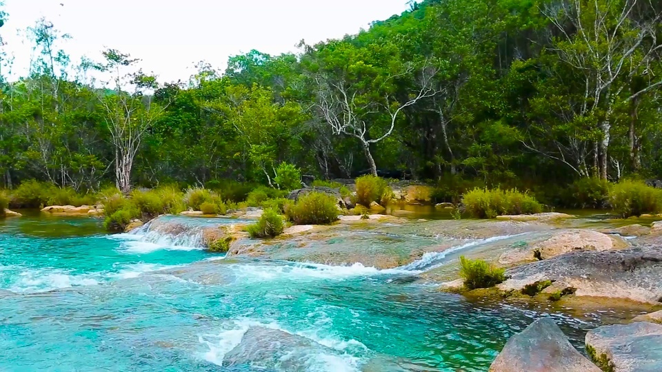 Greenwood River