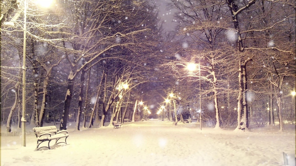 Street lamp snow scene