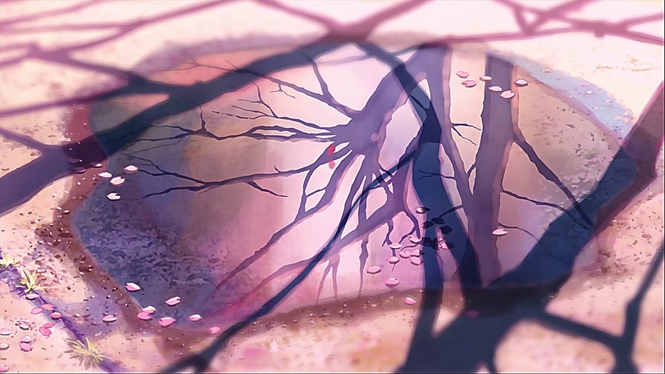 Makoto Shinkai - Yan Ye Seconds Wallpaper (tradução)