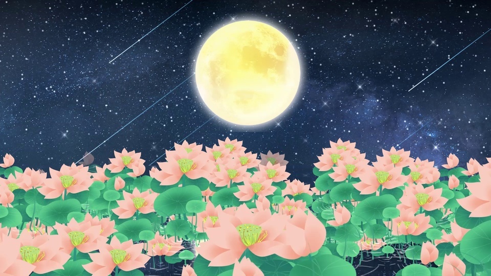 Moonlight lotus pond