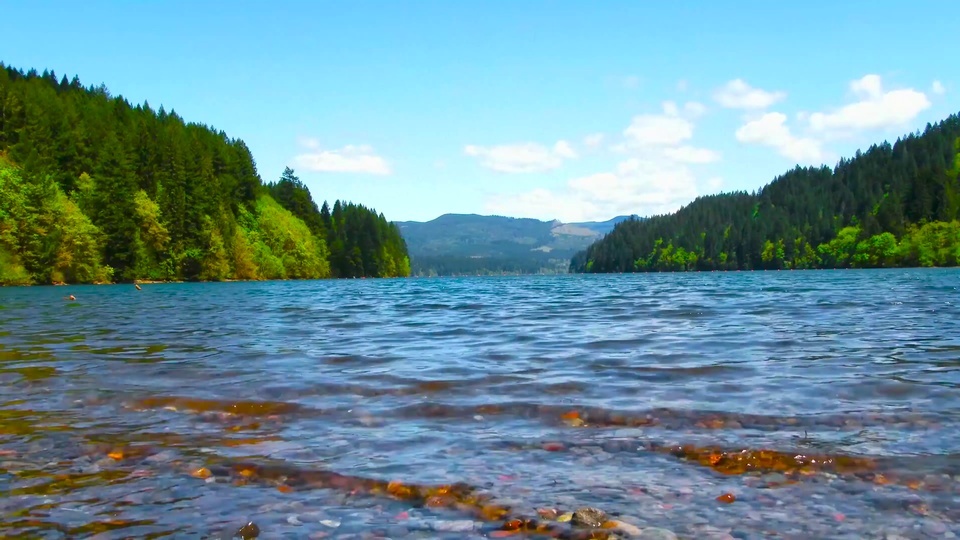 Green forest mountain stream lake