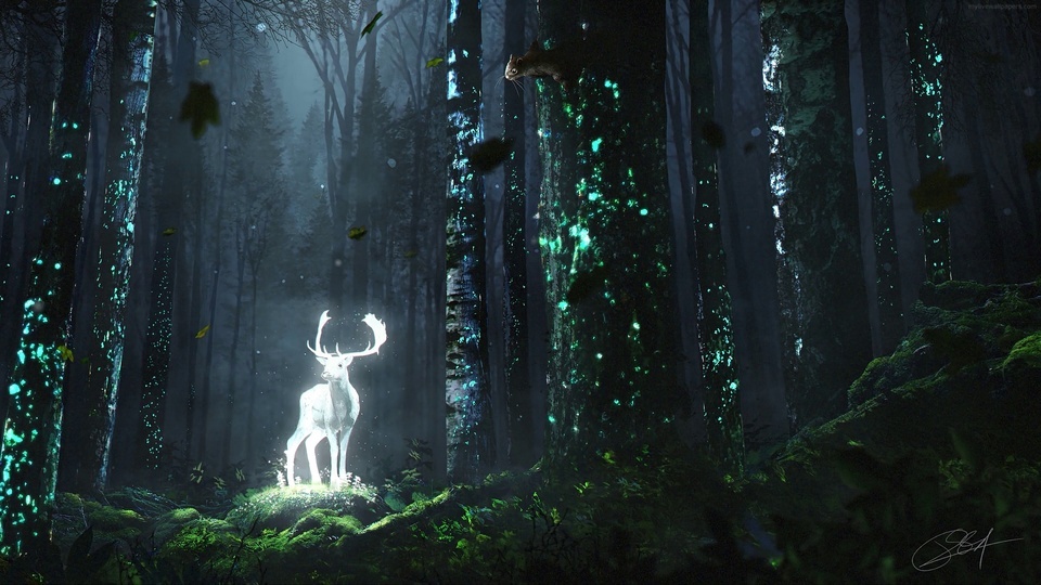 Deer in the Forest