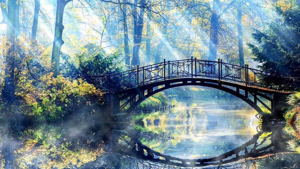 4k forest bridge flowing water birdsong sunshine