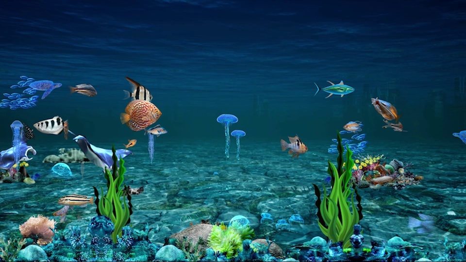 Dream underwater world