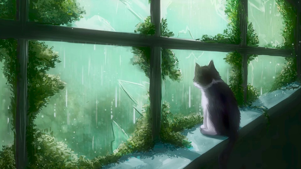 Healing - cat looking at the rain outside the window