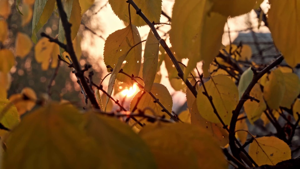 Cenário do pôr do sol 4K