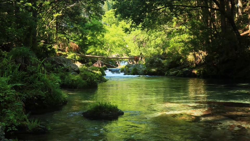 清澈的山涧流水