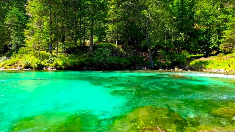 Piscina de montanha floresta verde