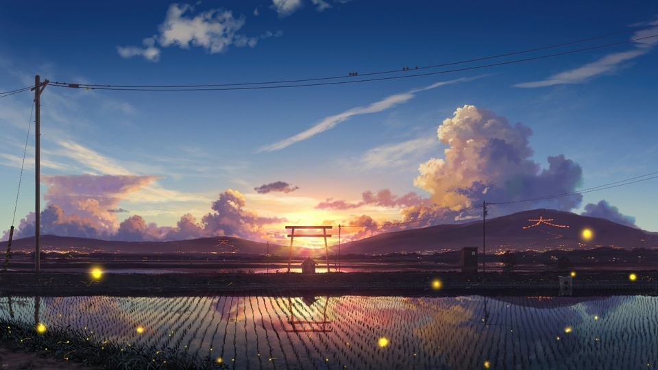 Sunrise anime rice field