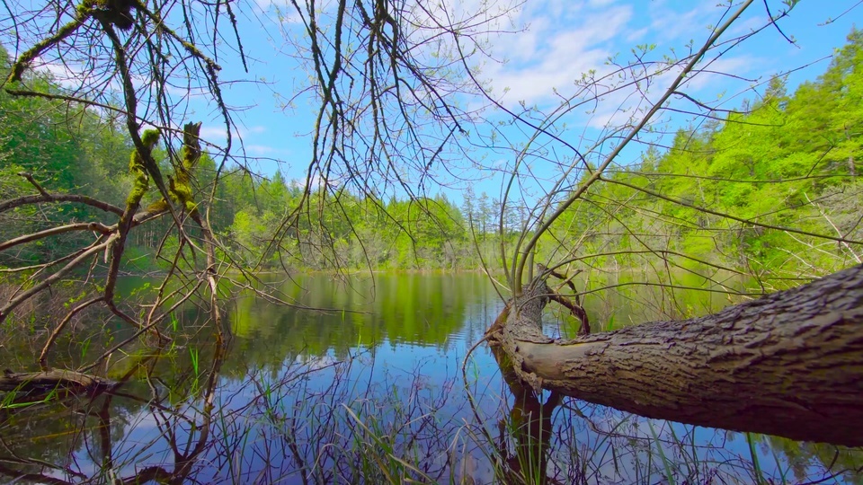 Soothing spring lake sound