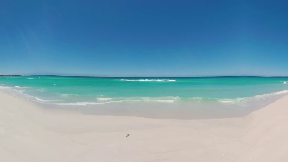 Pantalla ancha de cola de pelo en la playa