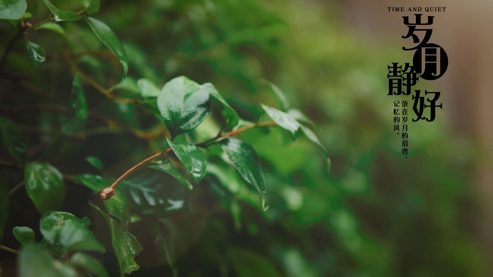 Contrôle de texte sous une pluie triste