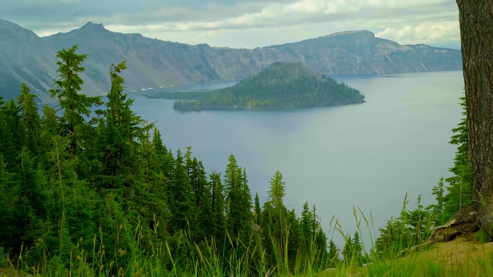 Alpine forest lake